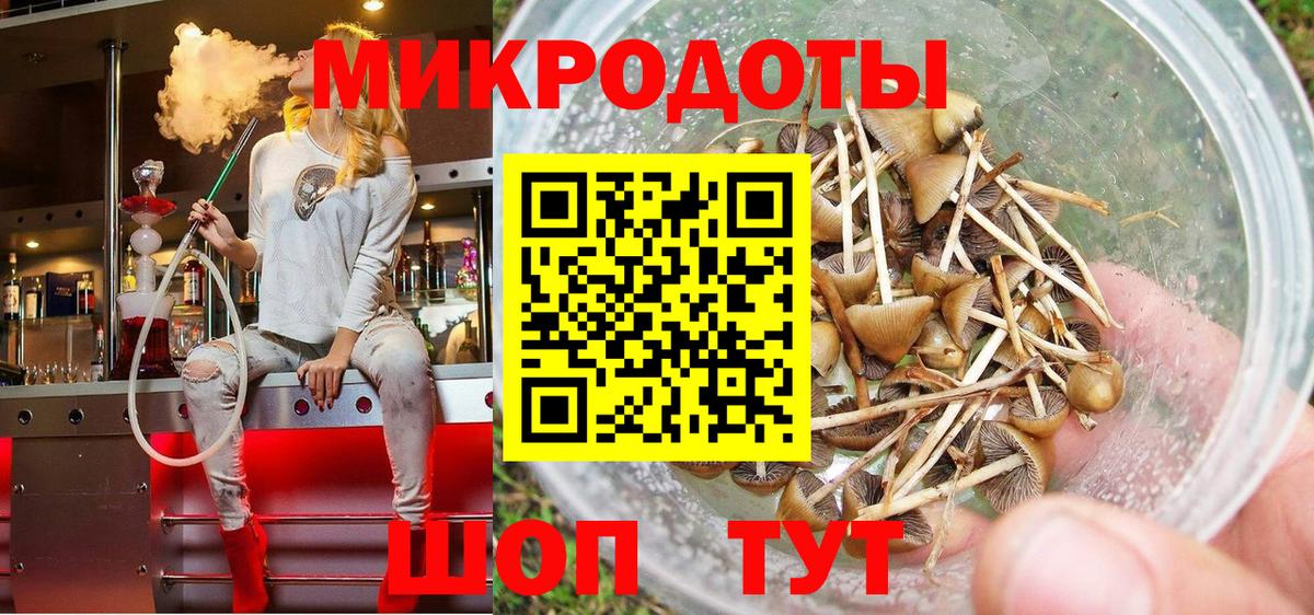 продажа наркотиков  Псилоцибиновые грибы GOLDEN TEACHER  Арсеньев  Вход с VPN  Псилоцибиновые грибы мицелий 